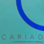 CARIAD Logo